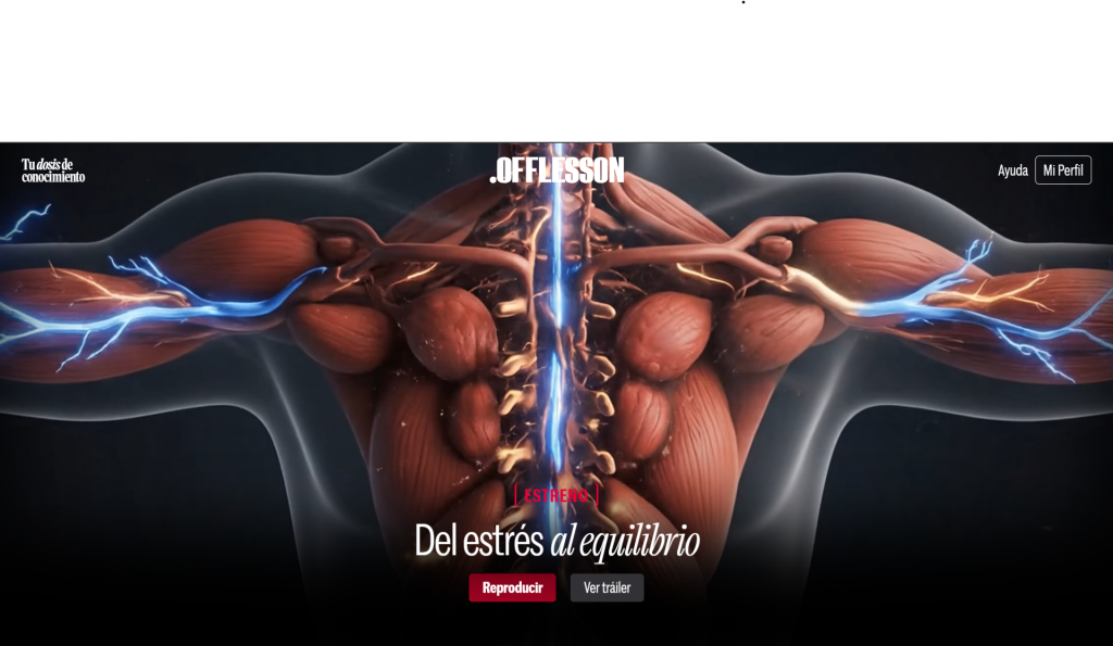 offlesson merece la pena
