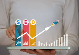 SEO DinoRank
