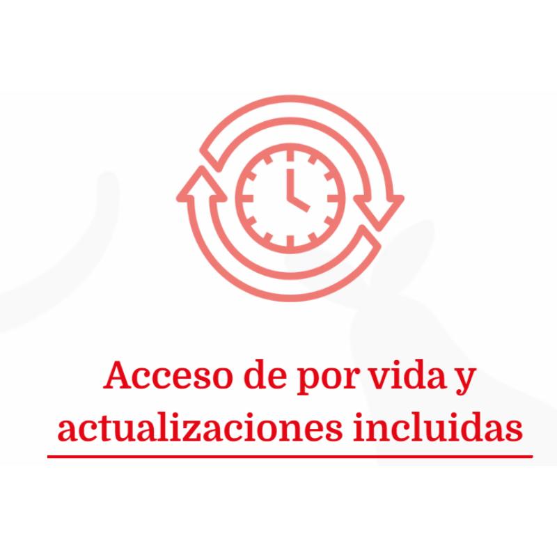 acceso pan y masas sin gluten