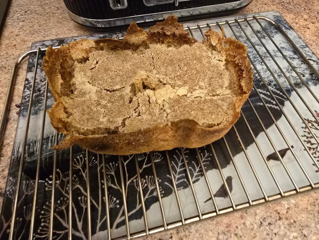 error pan sin gluten